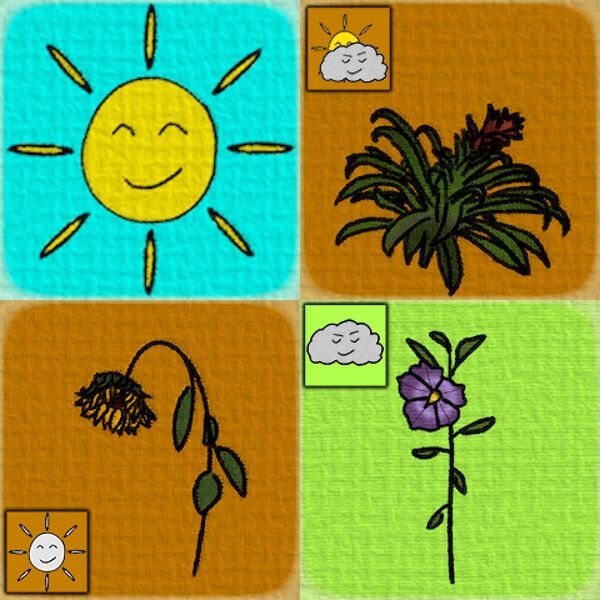 File:Store Sunny Side Up.jpg